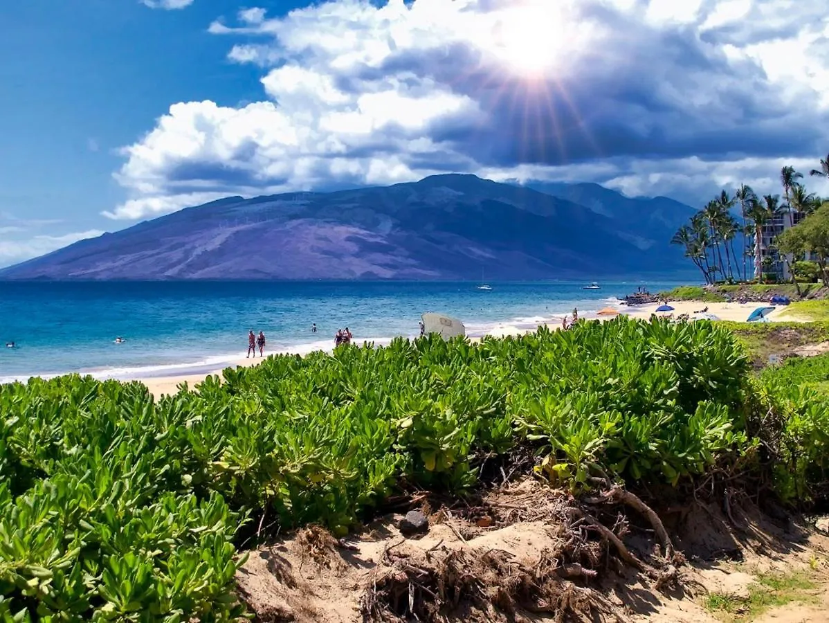 Maui Banyan Q-109 Unit A Apartment Wailea  0*, Wailea (Maui)