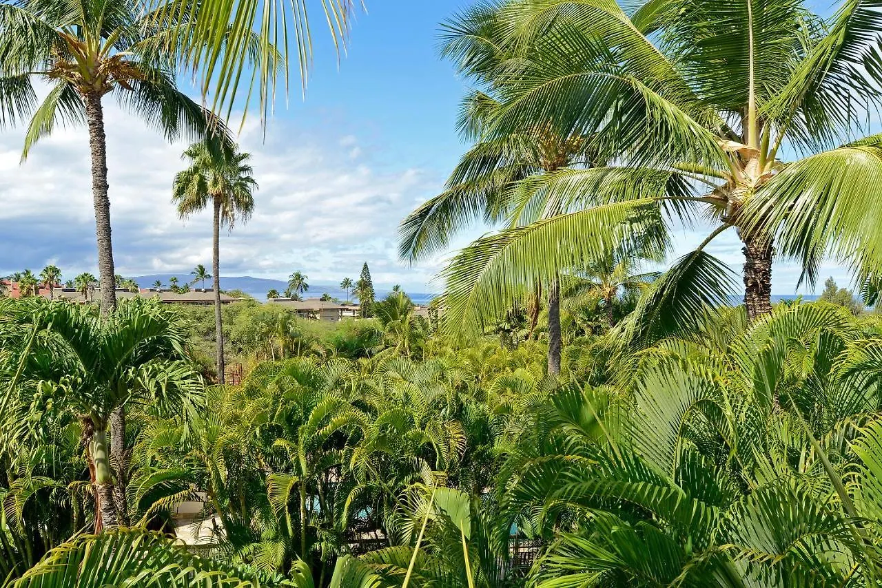 Maui Banyan Q-109 Unit A Apartment Wailea  0*, Wailea (Maui) United States