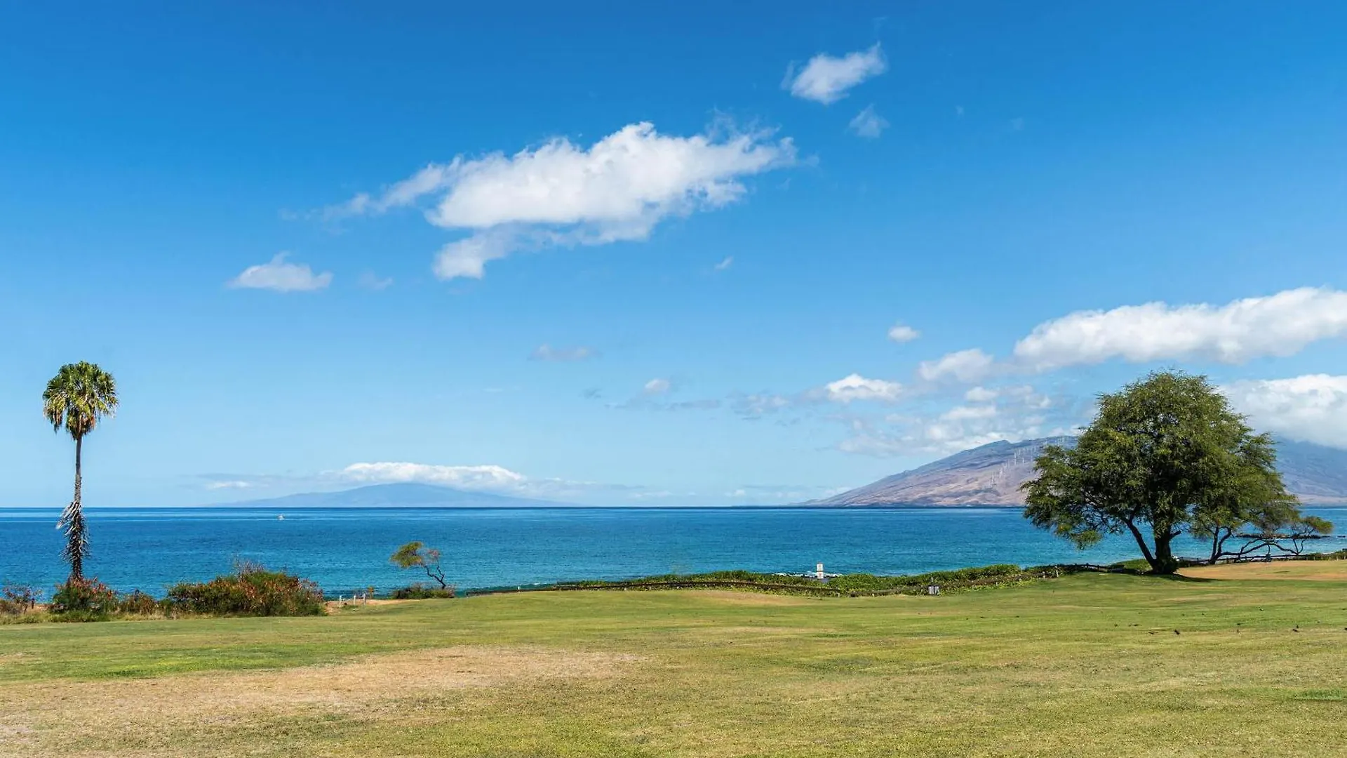 Maui Banyan Q-109 Unit A Apartment Wailea  Wailea (Maui)